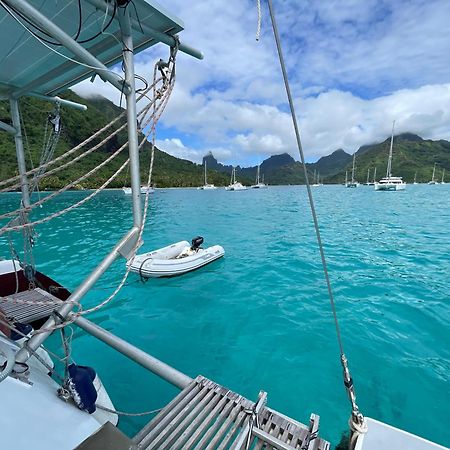 Catamaran Amaya - Sejour Insolite Sur Le Lagon De Moorea Hauru Extérieur photo