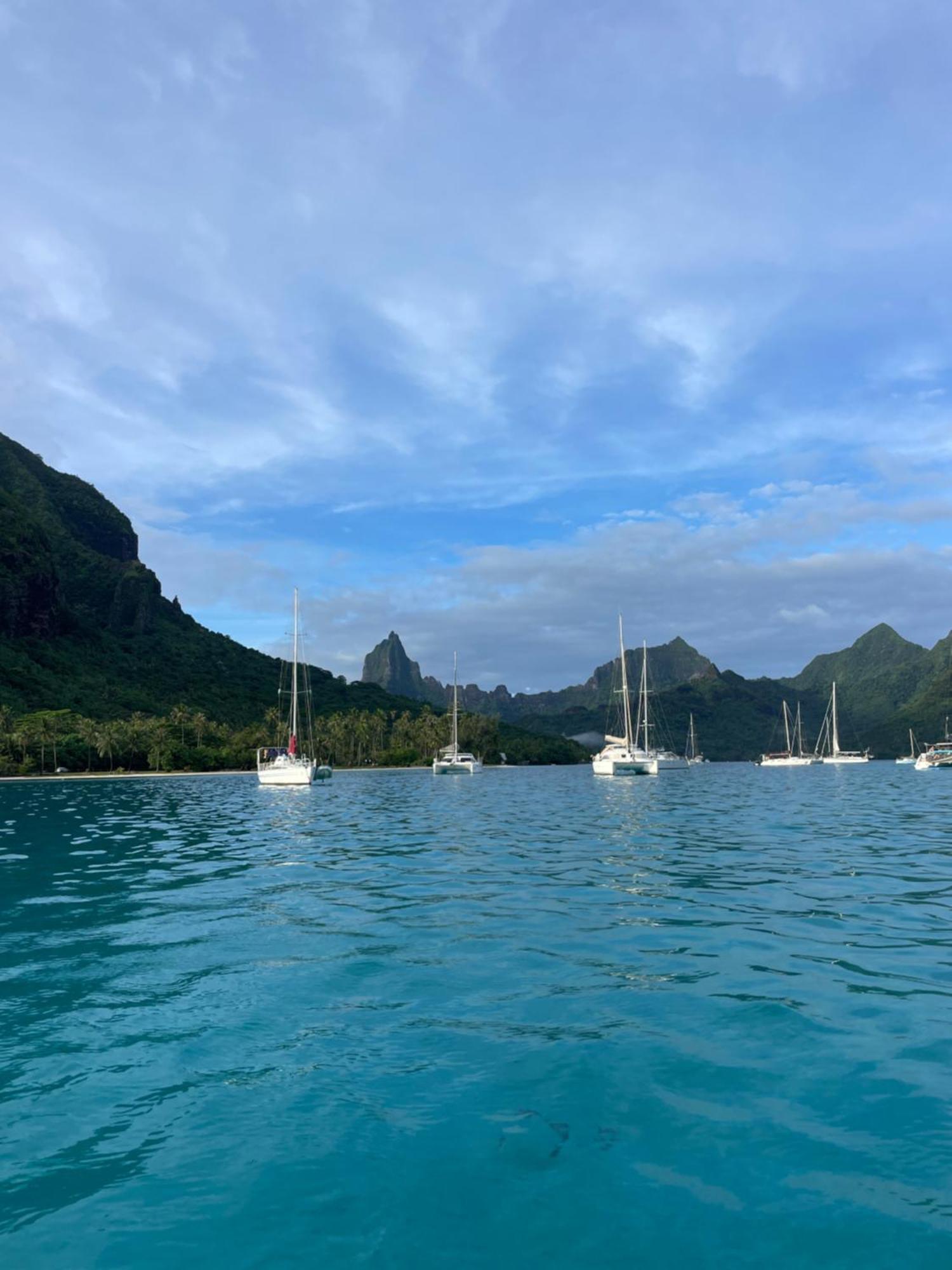 Catamaran Amaya - Sejour Insolite Sur Le Lagon De Moorea Hauru Extérieur photo